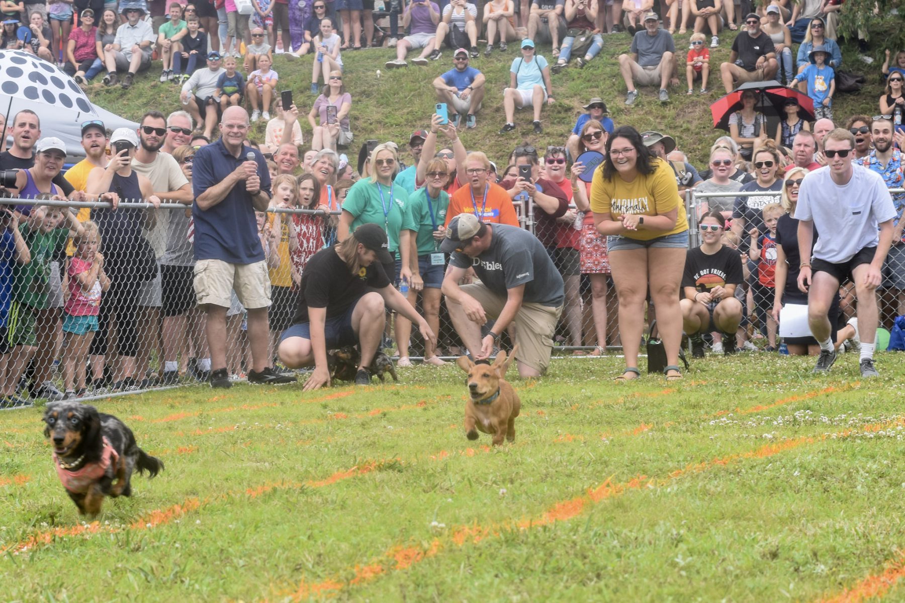 register-charleston-sternwheel-regatta